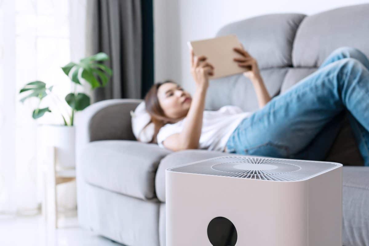 improve air quality in your home