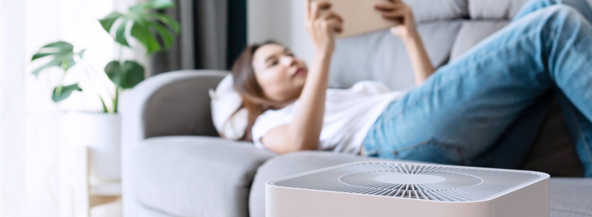 improve air quality in your home